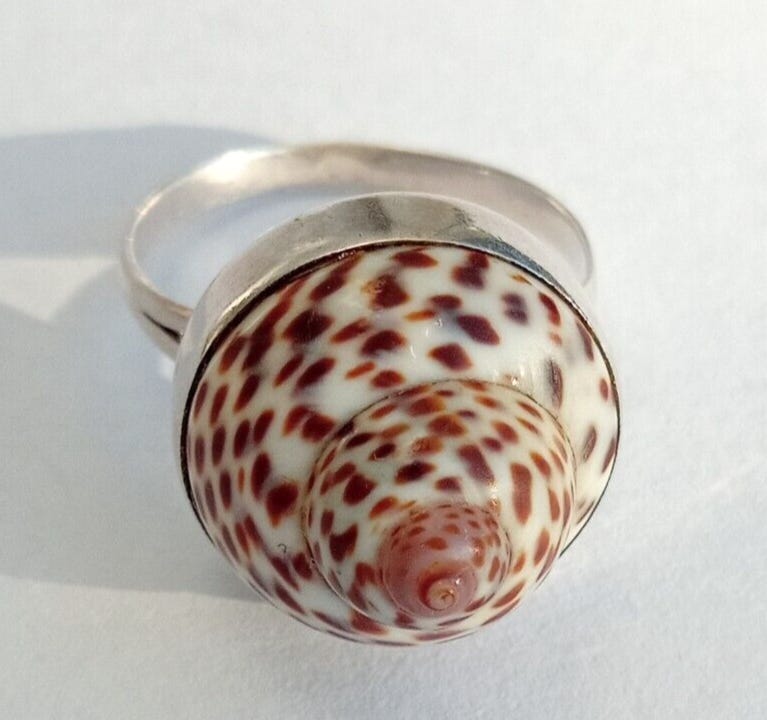 Placeholder image Placeholder image