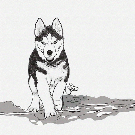 3 of my drawing from 2019 inktober