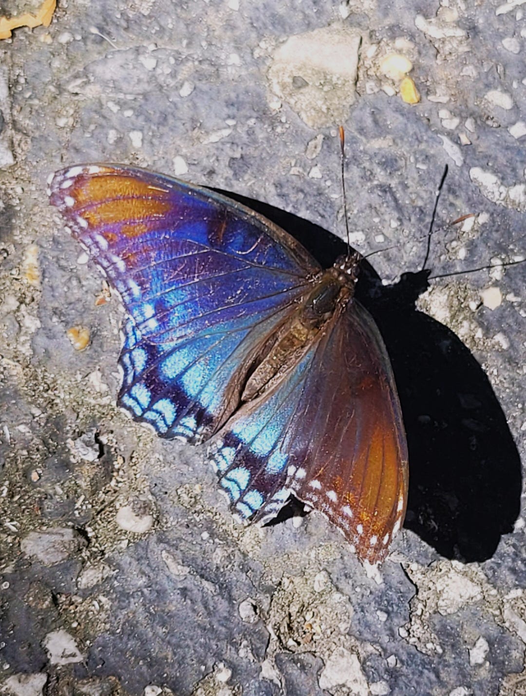 Image by Jacked Faction