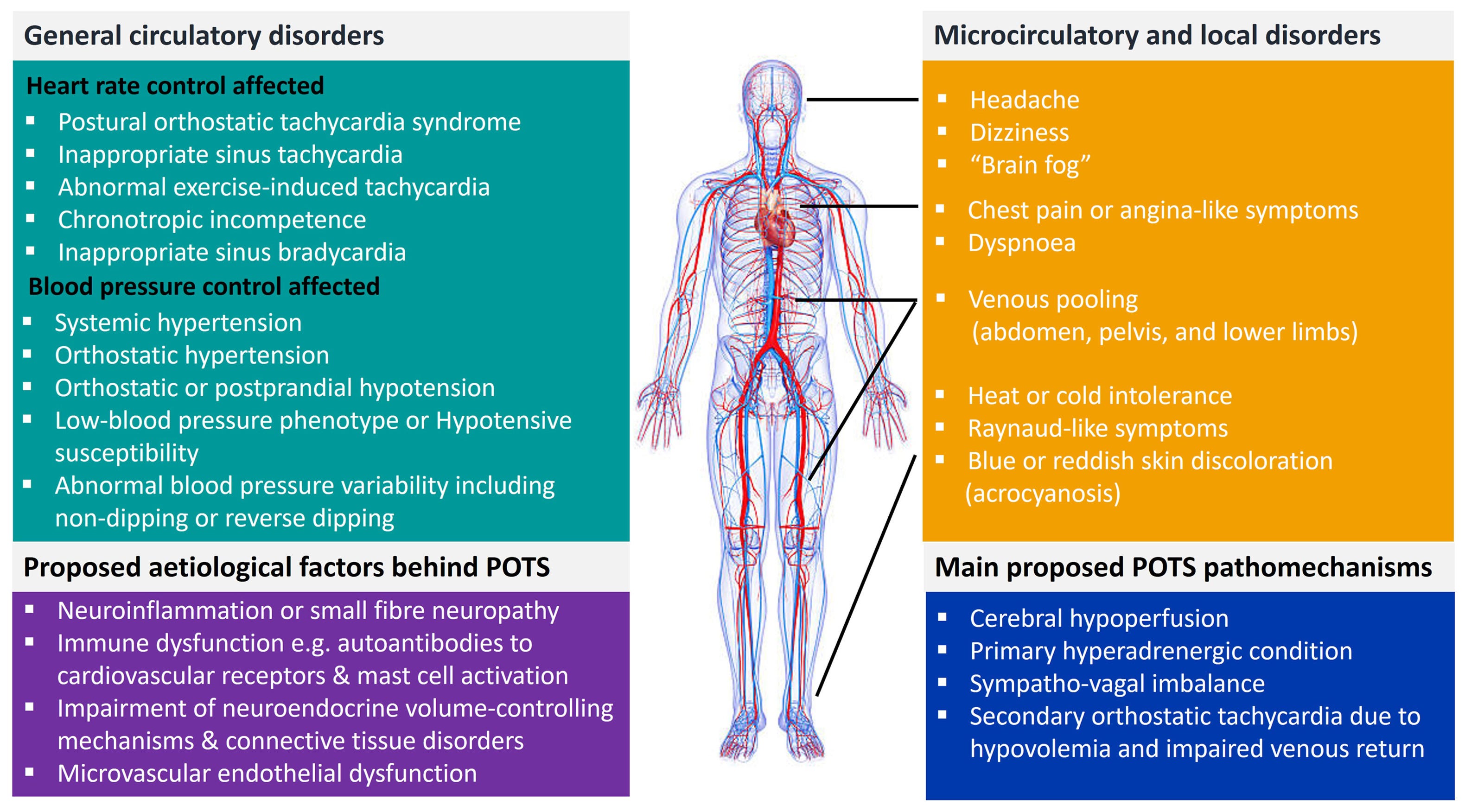What's New in Science? A new POTS article from experts in the field