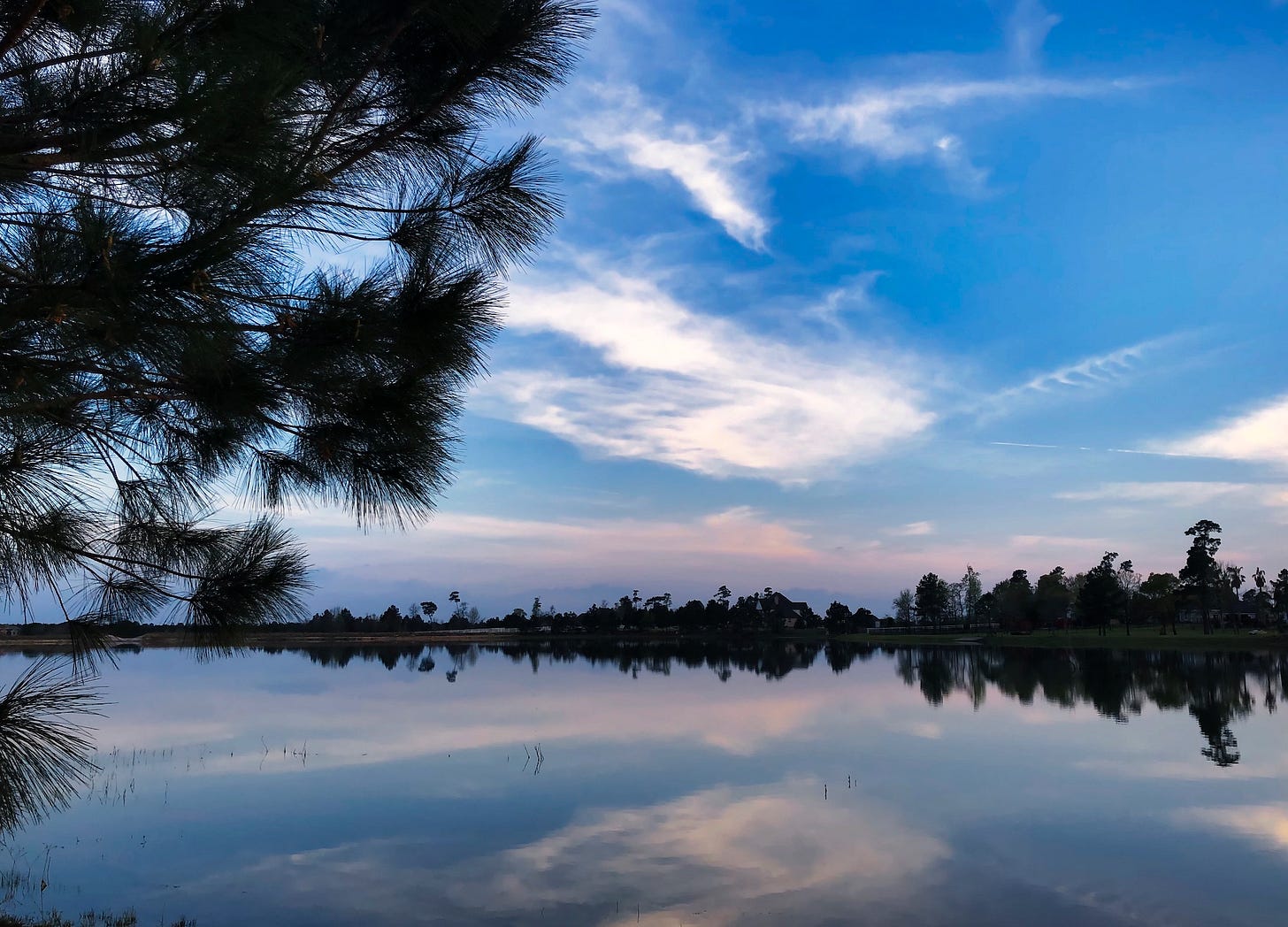 the blue sky, white and pinish clouds, and tree-lined shore are reflected in the stilness of the lake water with branches of a pine tree in the foreground on the left