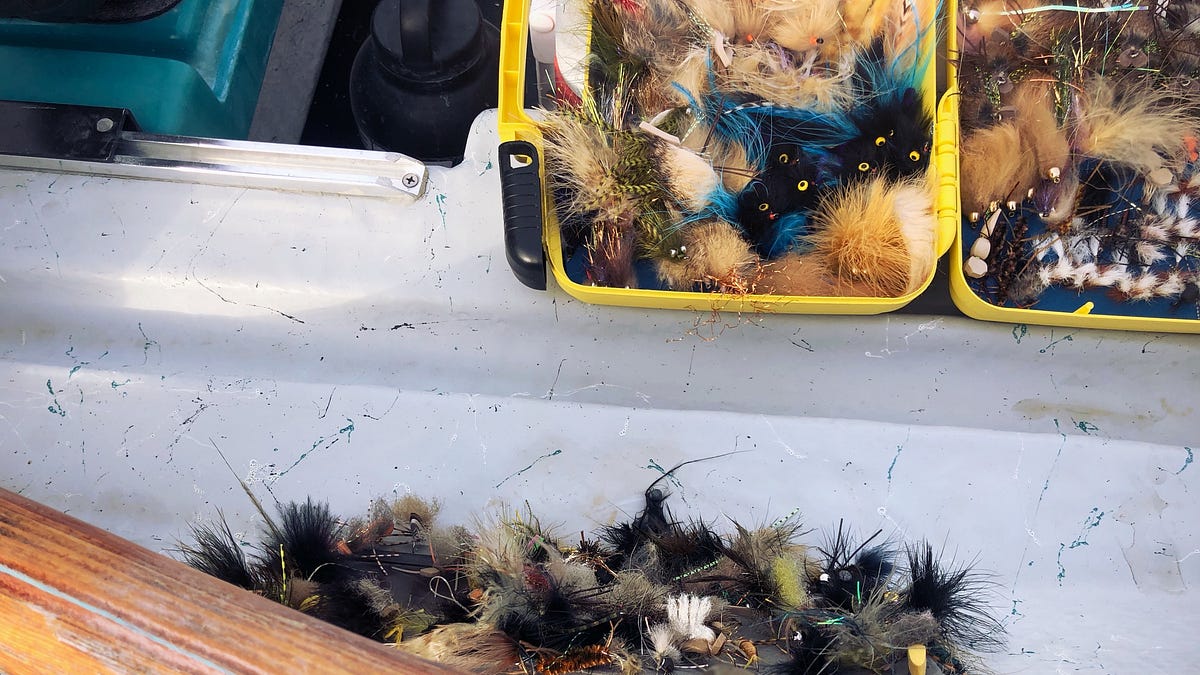 Does Fly Pattern Matter? - Flylab