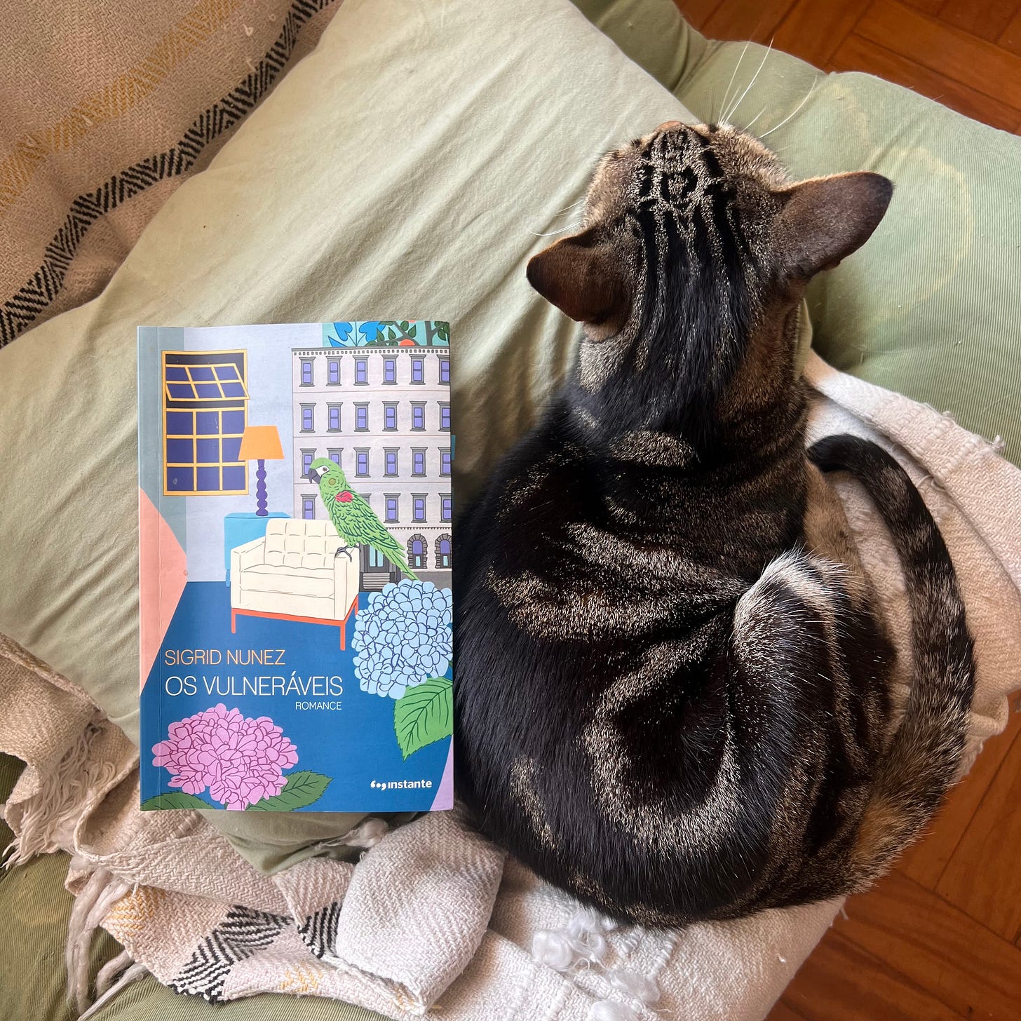Uma foto com Fortunato, o gato, ao lado do livro Os vulneráveis