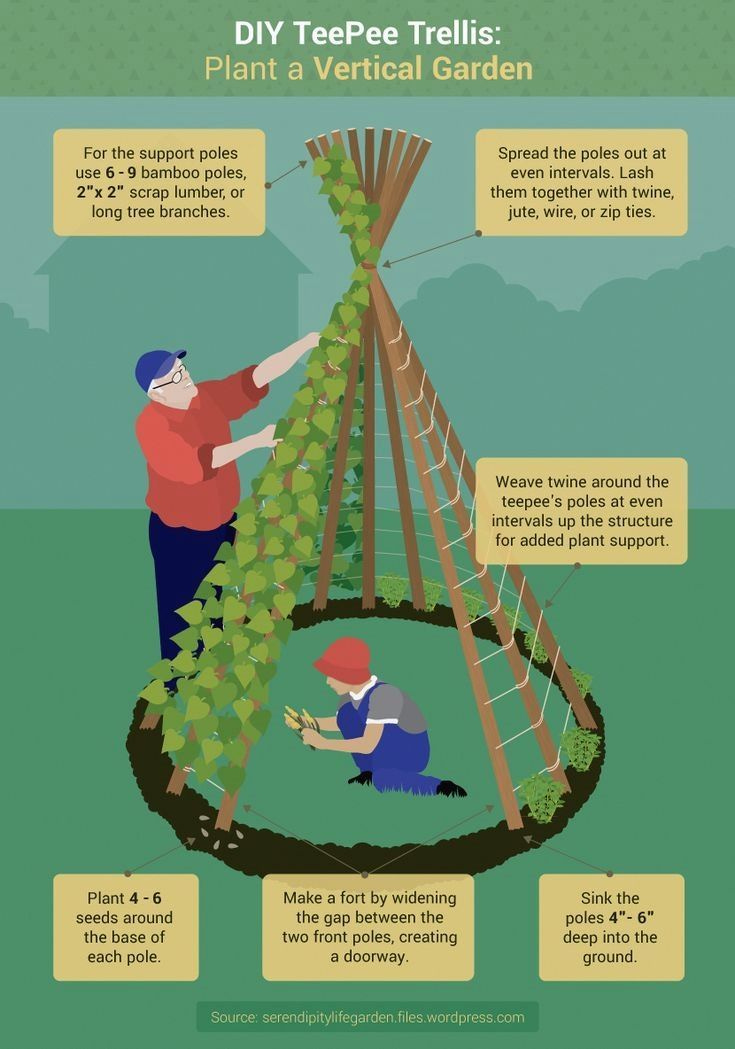 This may contain: an info sheet describing how to use the garden for children's play and activities