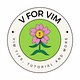 V for VIM