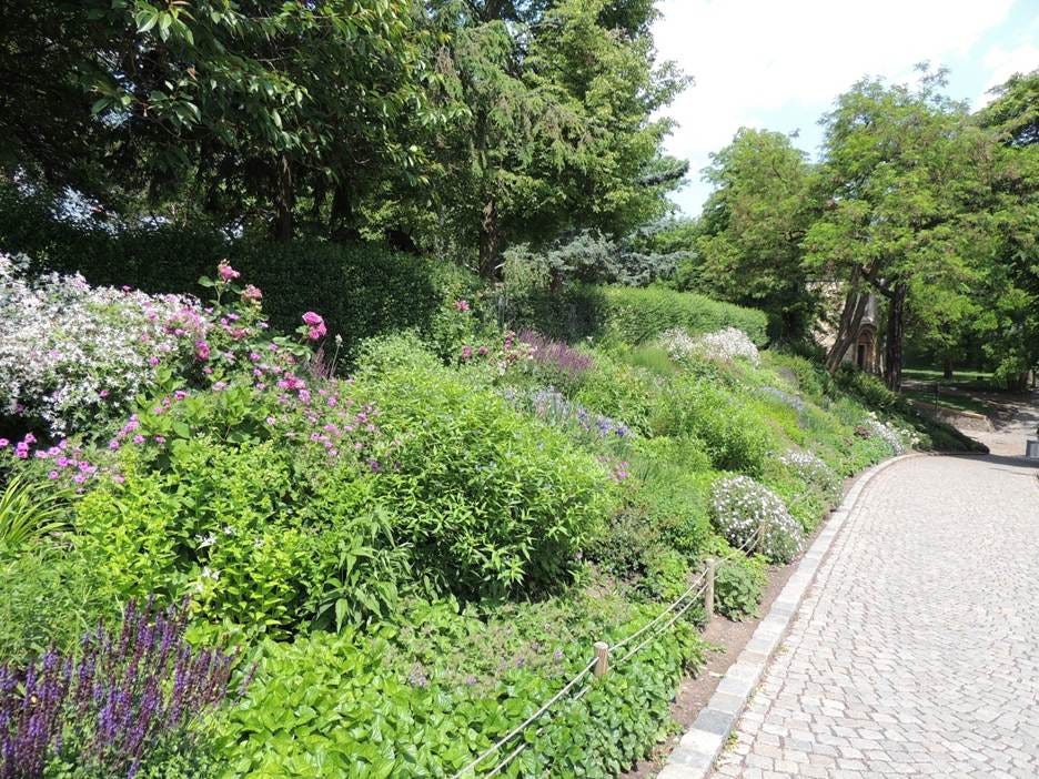 A path with flowers and trees

AI-generated content may be incorrect.