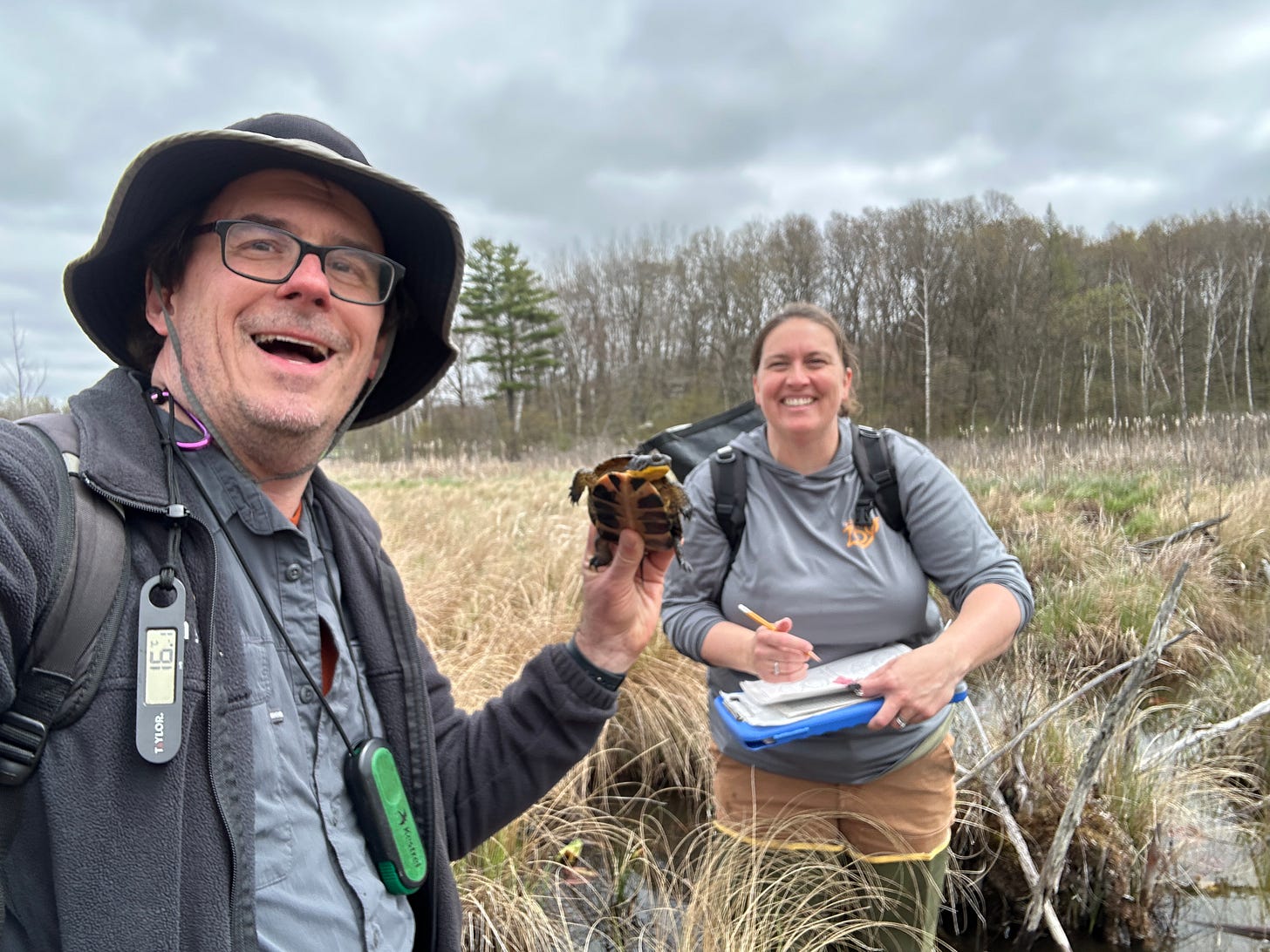 A man and a woman are in a wetland, smiling at the camera. The man is holding a small turtle.