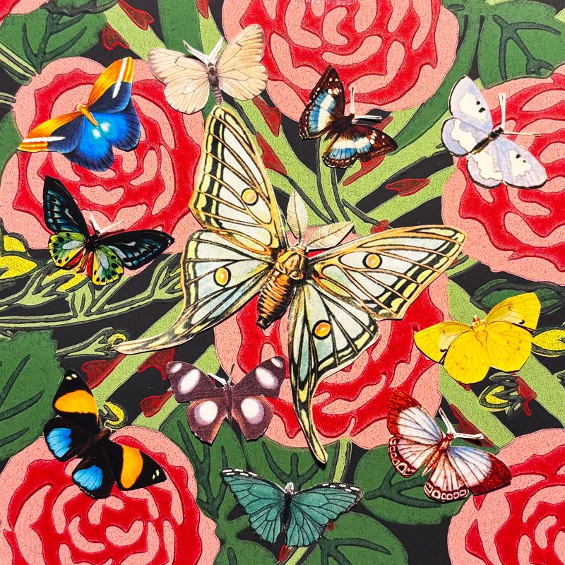 Butterfly collage by Helen Sword