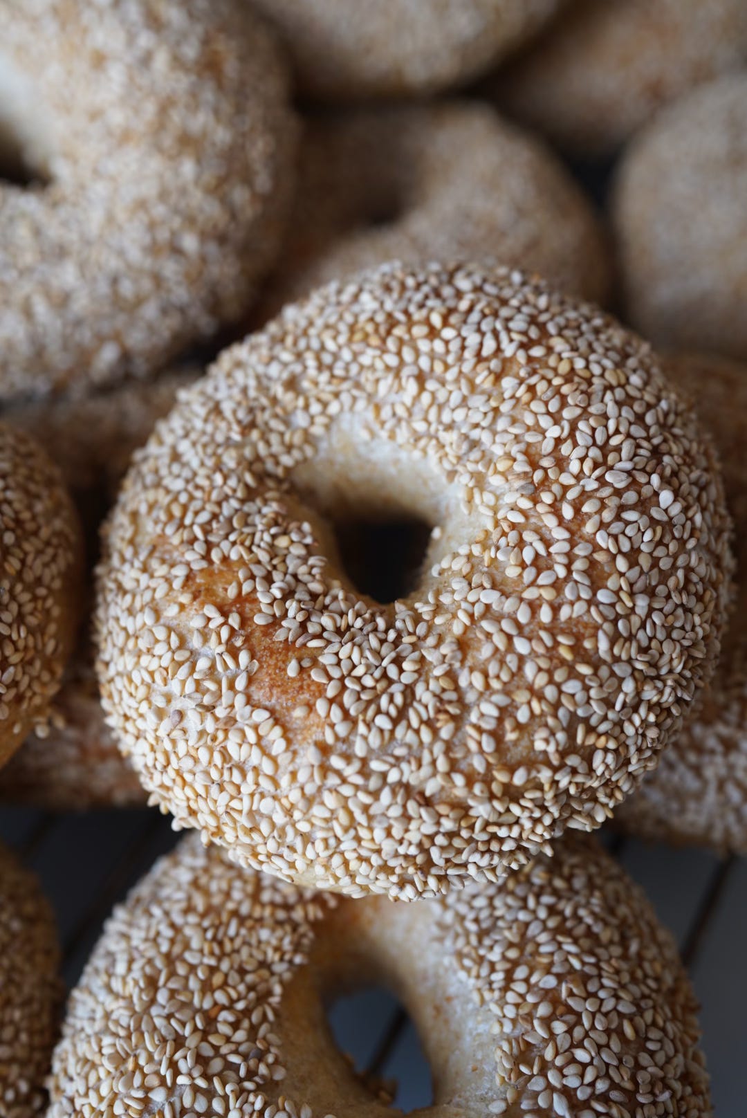 Sourdough Bagels by Alisa Brown Sourdough Bagels by Alisa Brown