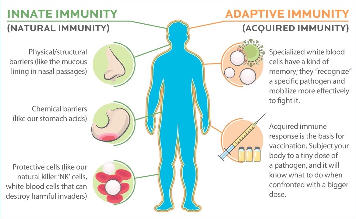 Should you exercise when sick? - Lawrence Park Health and Wellness