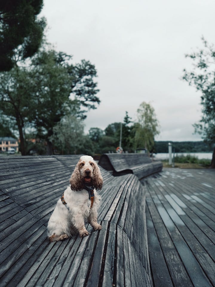 sigtuna travel photos and experiences