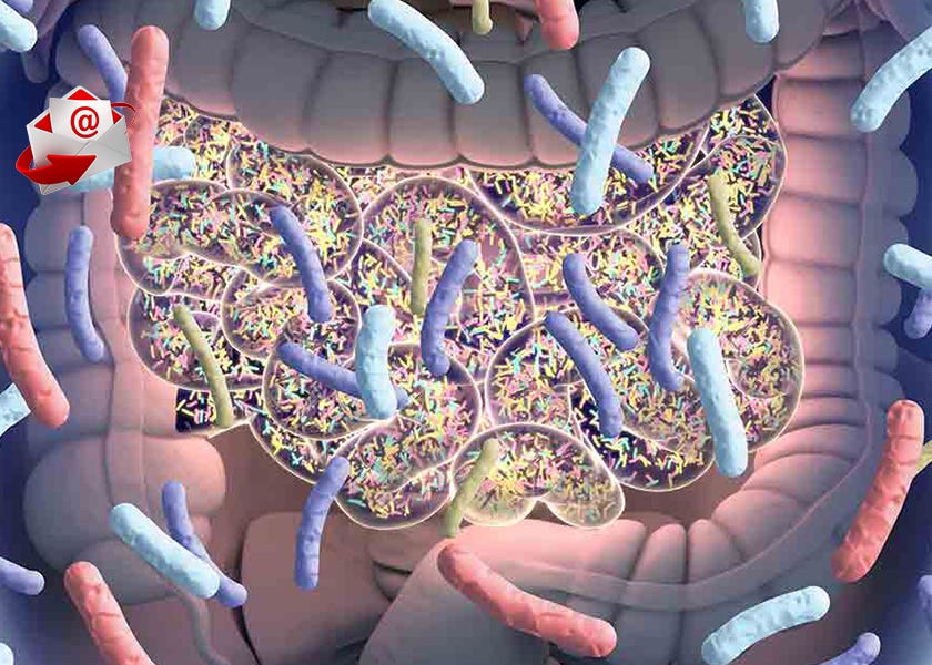 The Alzheimer's Gut-Brain Link: How Butyrate Curbs Amyloid-Beta Buildup and Inflammation