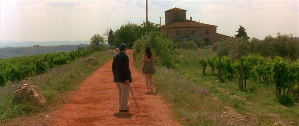 Stealing Beauty (1996)