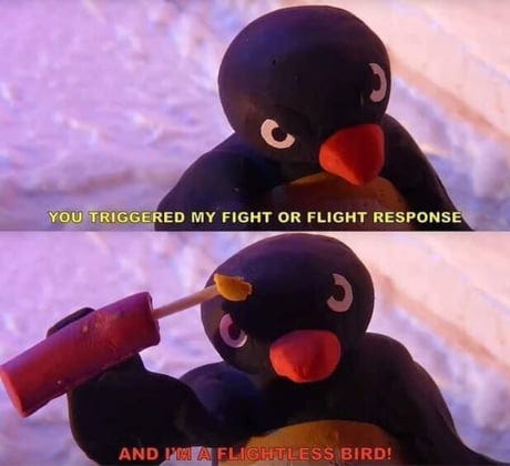 fight or flight meme : Second Language Strategies