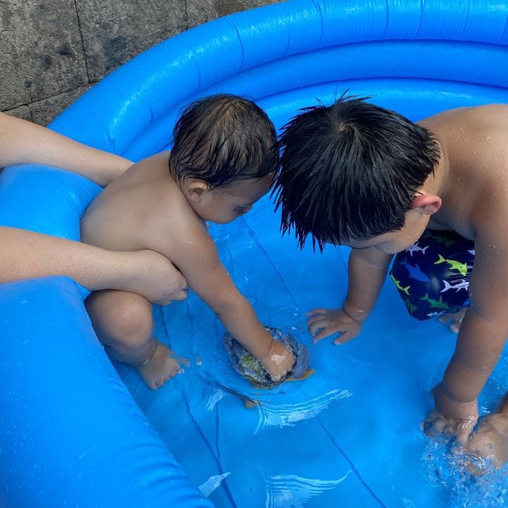 Two kids enjoying the water in an inflatable kiddie pool Two kids enjoying the water in an inflatable kiddie pool