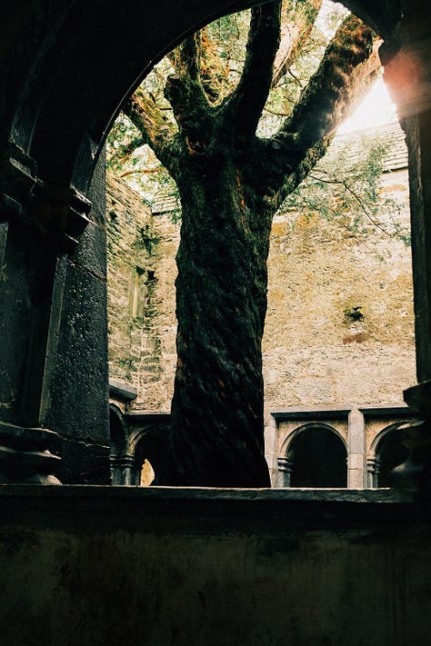 Ireland in Fuji photographs by Tyler Knott Gregson