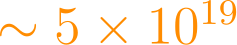 \sim 5 \times 10^{19}