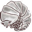 Woodlouse's avatar