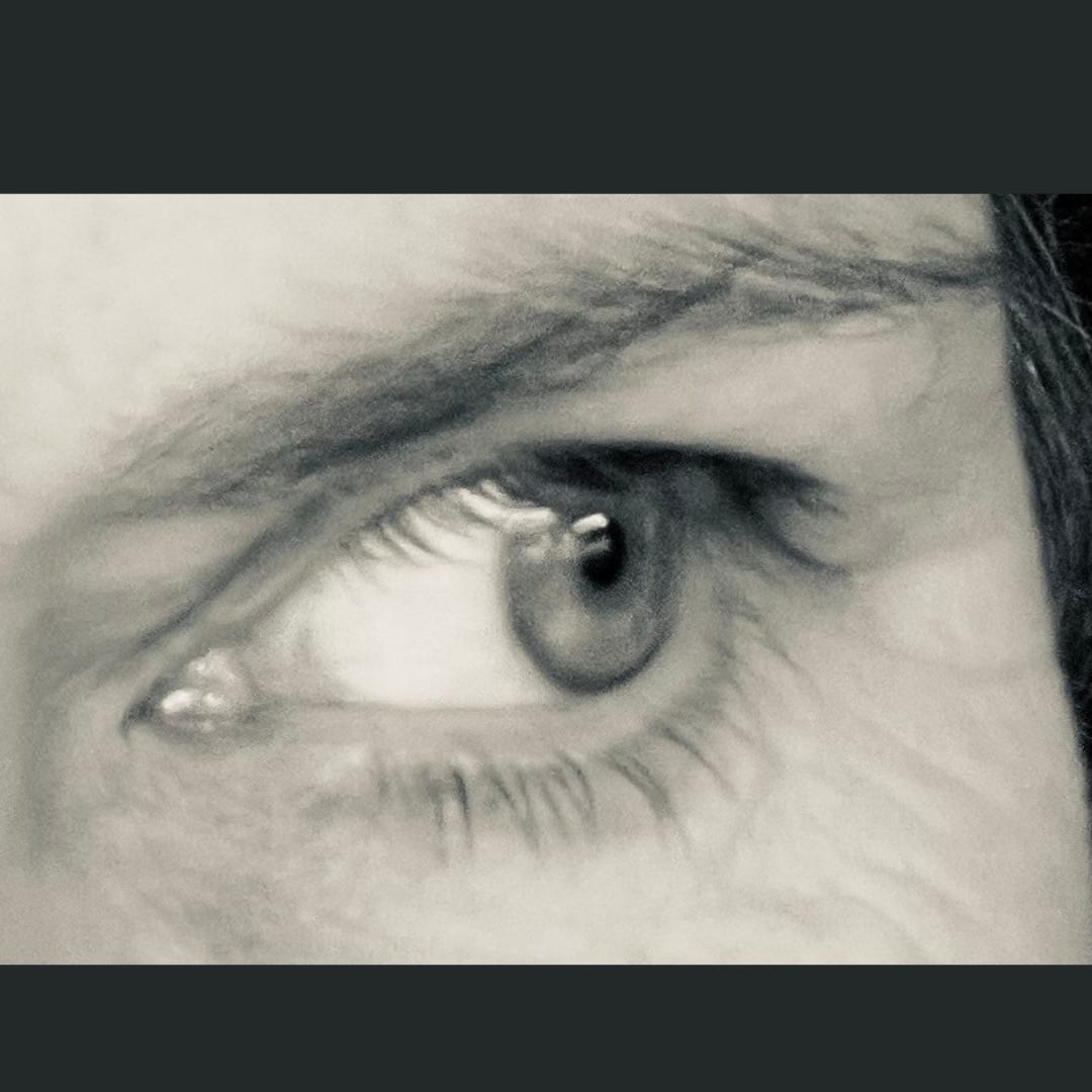 The Inquisitive Artist Podcast