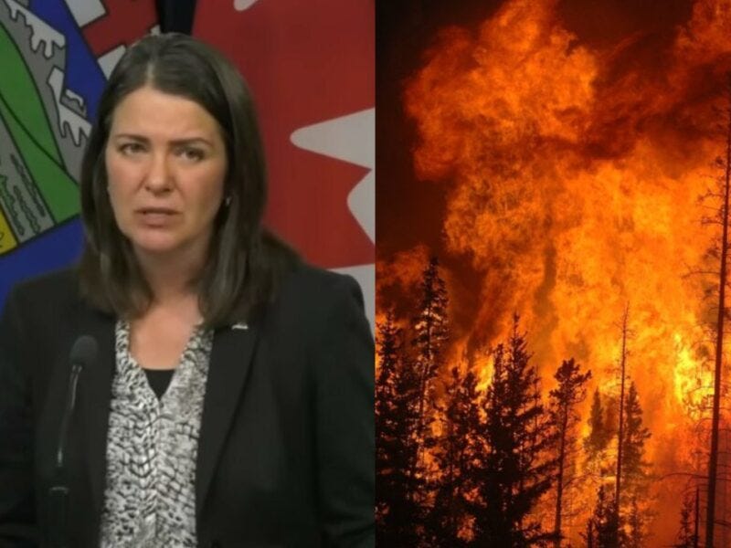 Danielle Smith: The loss of Jasper is tragic, but we can all take comfort in how much money the oil industry is still making - The Beaverton Danielle Smith: The loss of Jasper is tragic, but we can all take comfort in how much money the oil industry is still making - The Beaverton