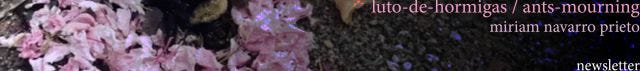 texto rosa: luto de hormigas /ants mourning, miriam navarro prieto, newsletter. En la fotografía del fondo: el cuerpo de una abeja muerta está siendo rodeado de pétalos de flor por las hormigas. texto rosa: luto de hormigas /ants mourning, miriam navarro prieto, newsletter. En la fotografía del fondo: el cuerpo de una abeja muerta está siendo rodeado de pétalos de flor por las hormigas.
