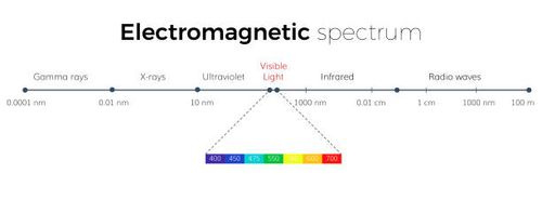 Electromagnetic Spectrum  scale Electromagnetic Spectrum The light  spectrum of waves includes infrared rays visible light ultraviolet rays and X-rays visible light spectrum stock illustrations