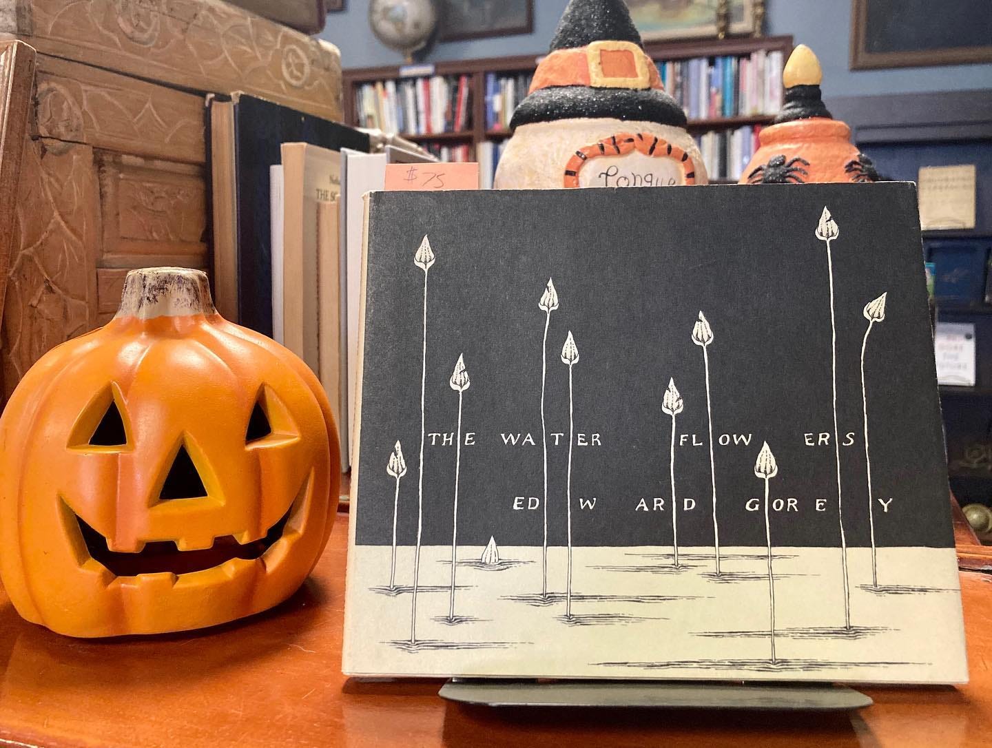 Cover of The Water Flowers set among Halloween decorations