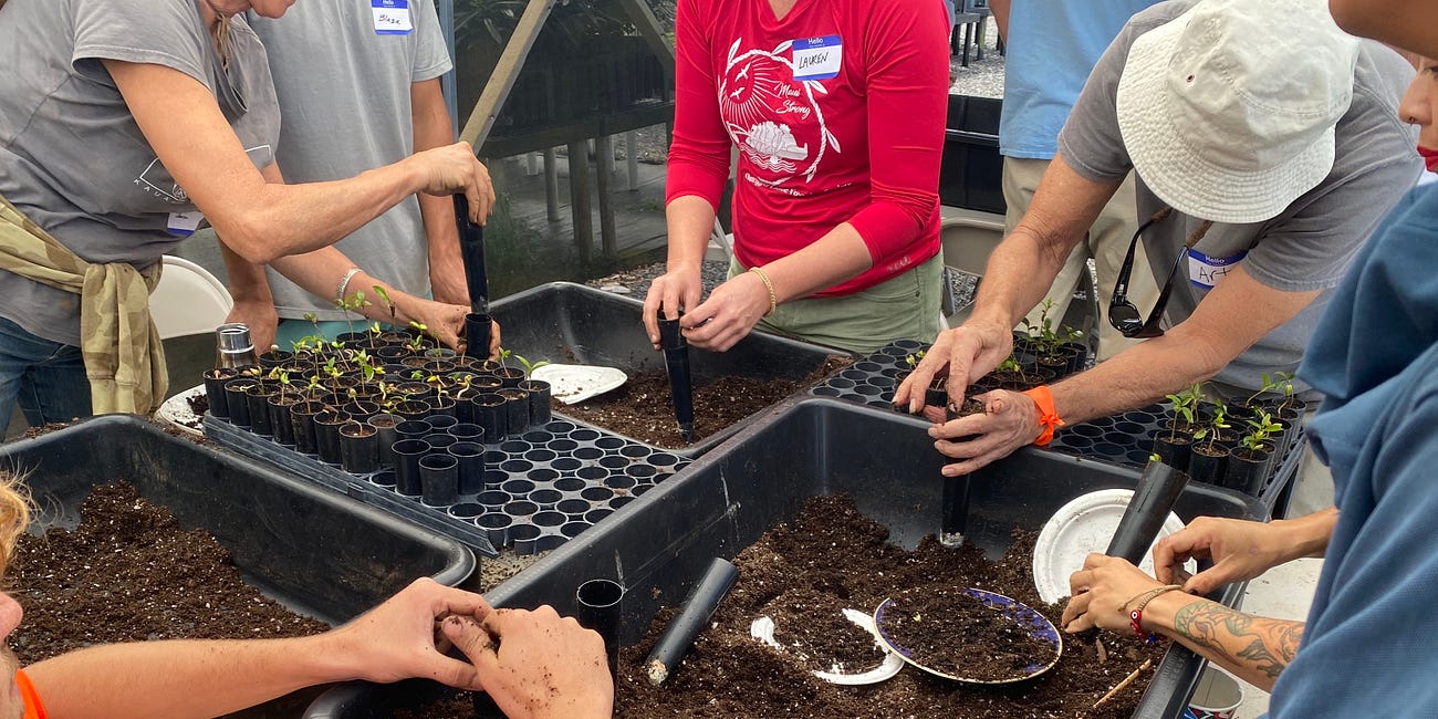 Caring for the Local Earth