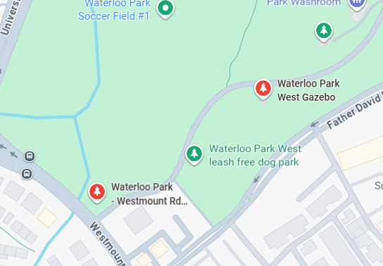 Google Maps showing the dog park off the Westmount Rd entrance