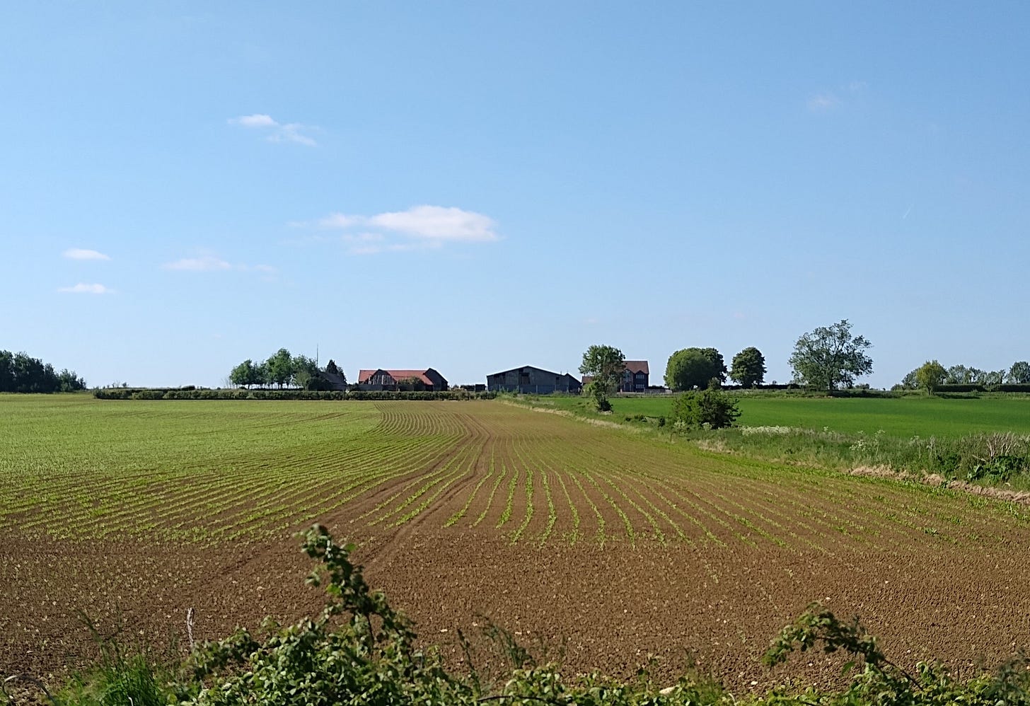 May be an image of silo and grass
