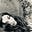 Isabel Guerriera's avatar