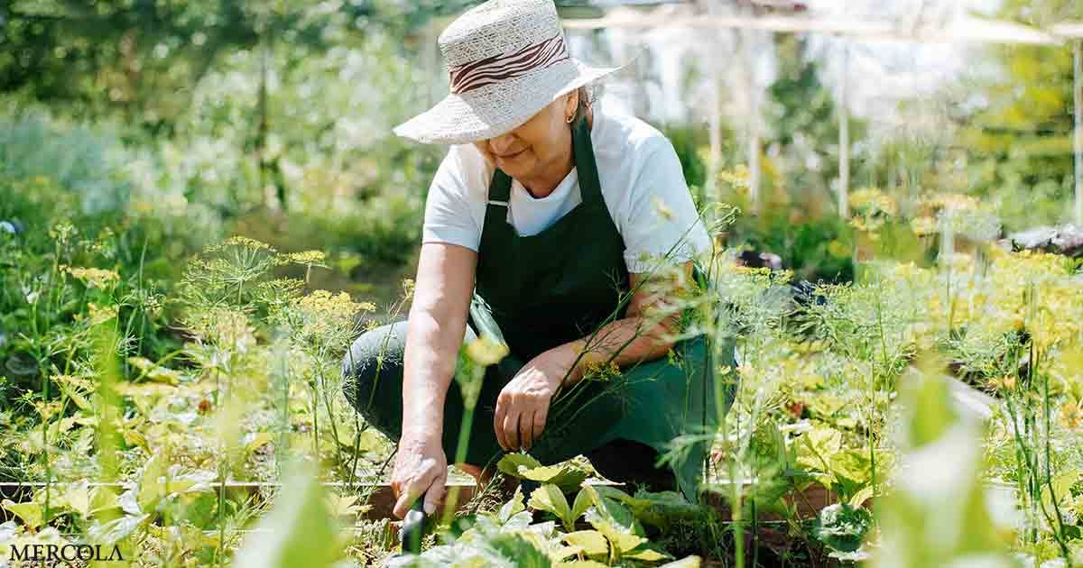 Garden Therapy: Why Getting Your Hands Dirty Is the Best ...