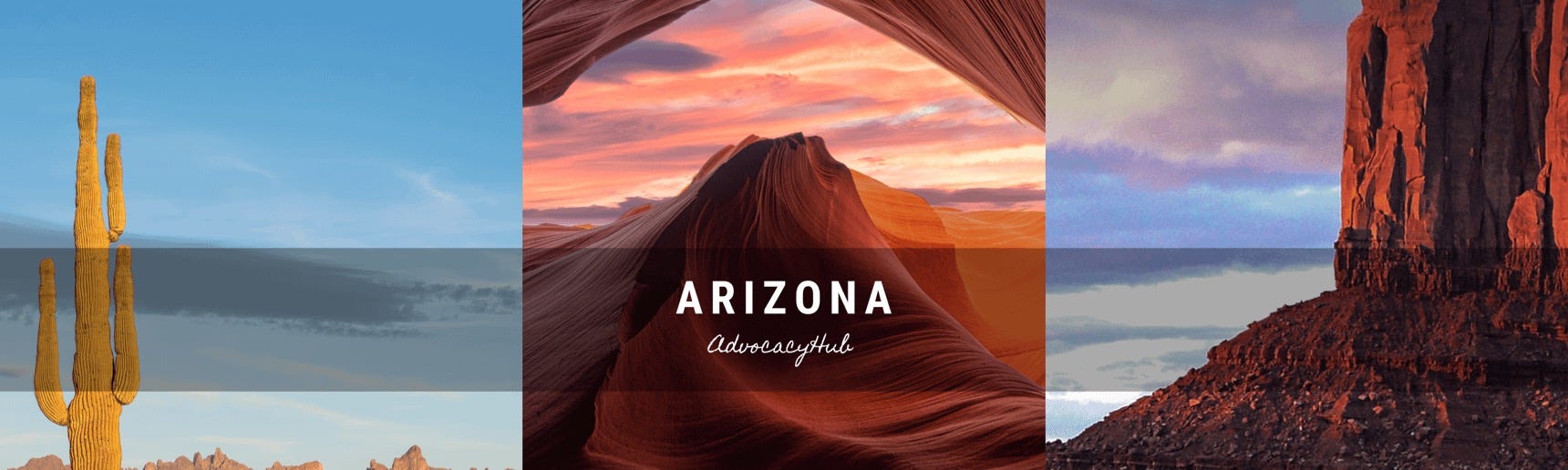 AZ Advocacy Hub logo