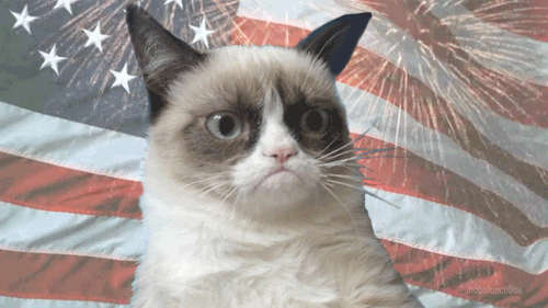 american flag america GIF