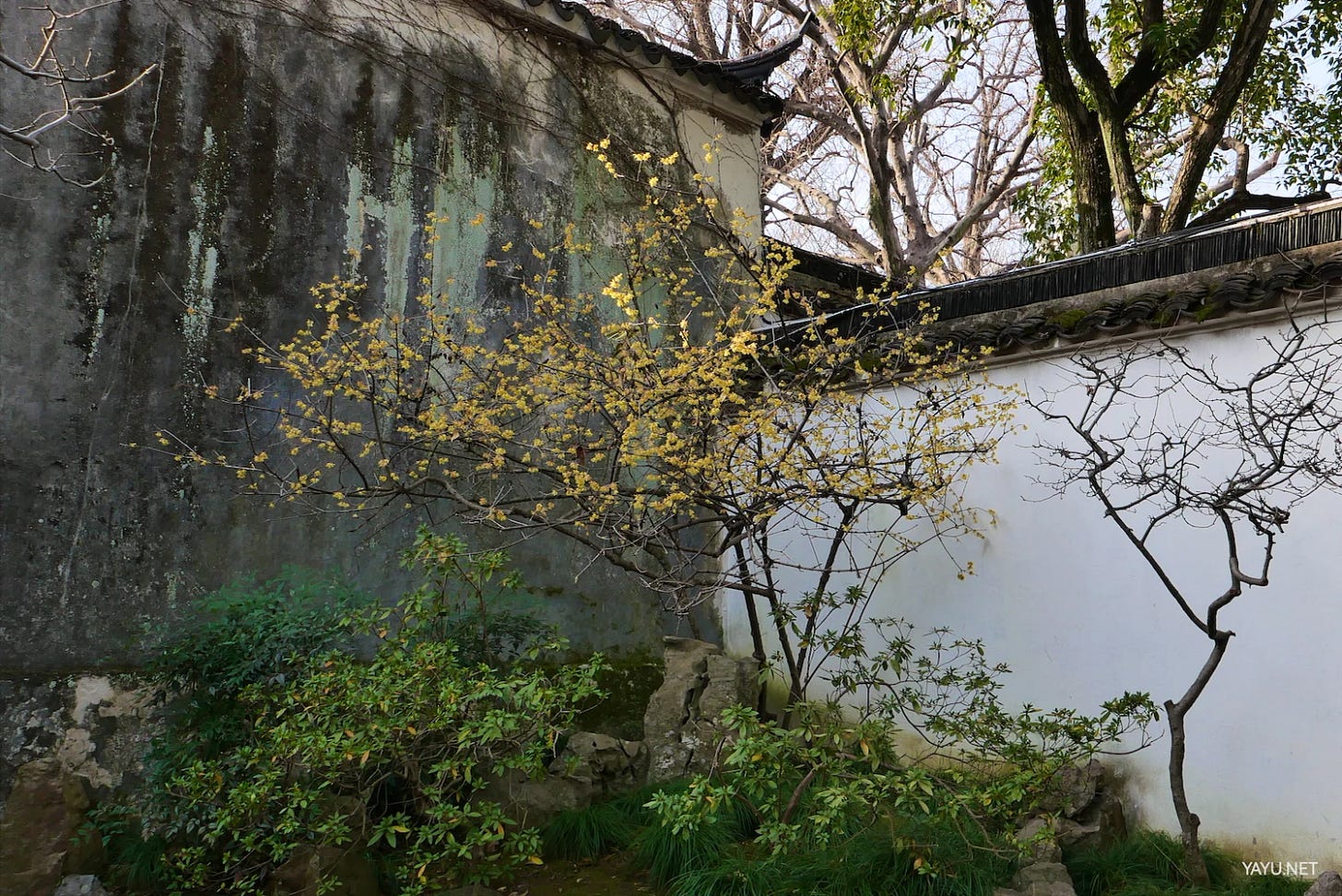 我在苏州逛园子之留园-雅余 我在苏州逛园子之留园-雅余