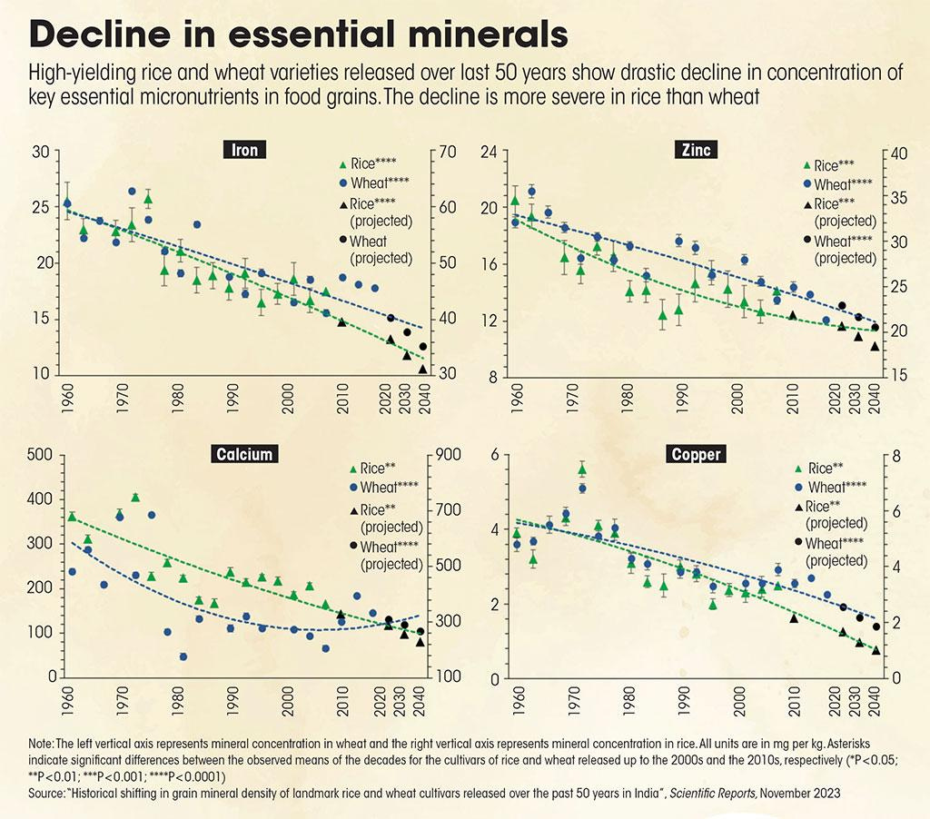 Source: “Historical shifting in grain mineral density of landmark rice and wheat cultivars released over the past 50 years in India”, Scientific Reports, November 2023 Source: “Historical shifting in grain mineral density of landmark rice and wheat cultivars released over the past 50 years in India”, Scientific Reports, November 2023