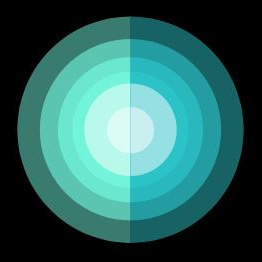 Hameed’s Newsletter