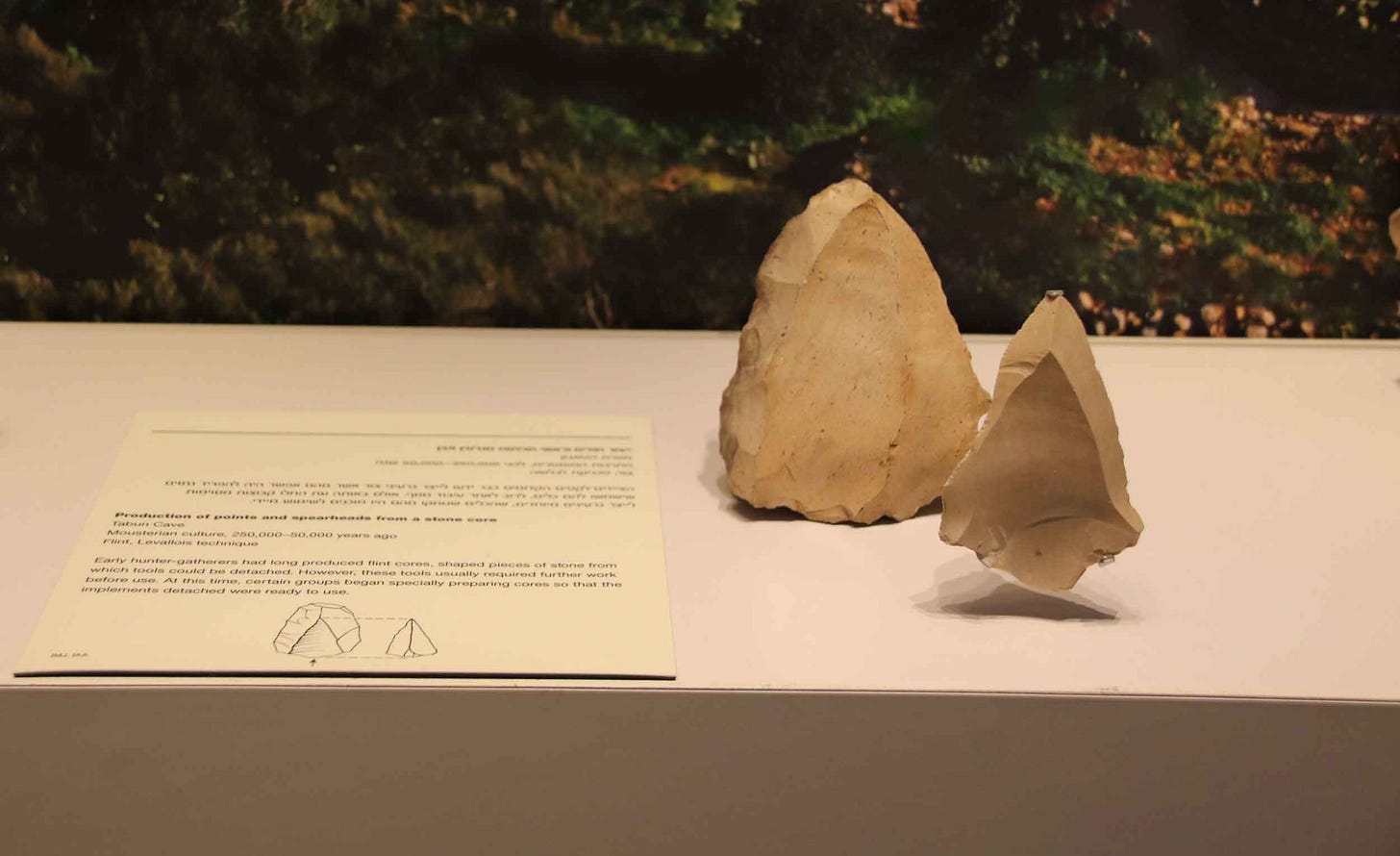 A Levallois point and core in a museum exhibit A Levallois point and core in a museum exhibit