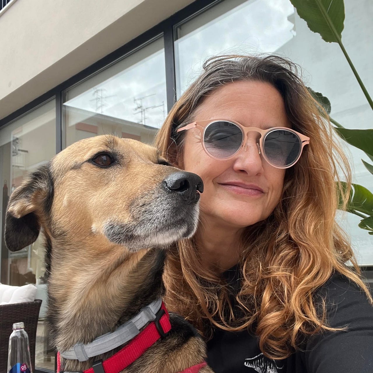 Brenda Thornlow - New Life, New Pages