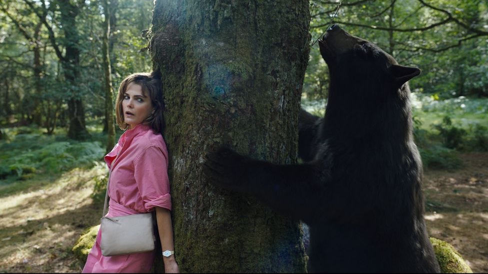 Cocaine Bear review: A B-movie about a drug-crazed bear - BBC Culture