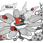 Announcing Free Writing Challenge: Micro of the Month