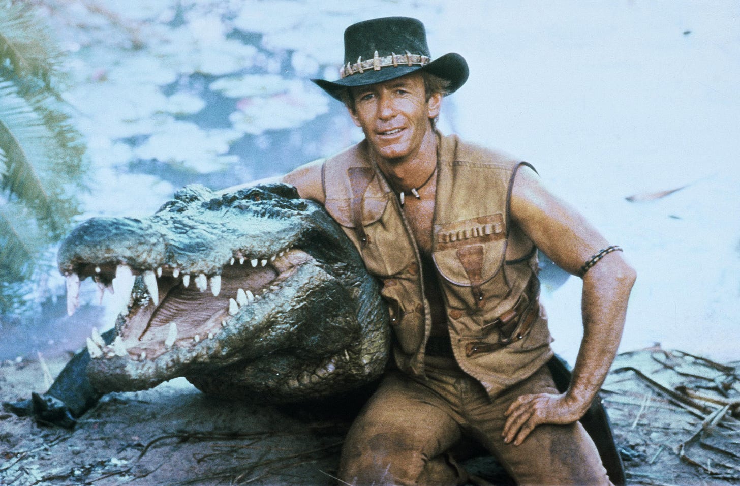 Crocodile Dundee croc Burt dies in Australia - BBC News