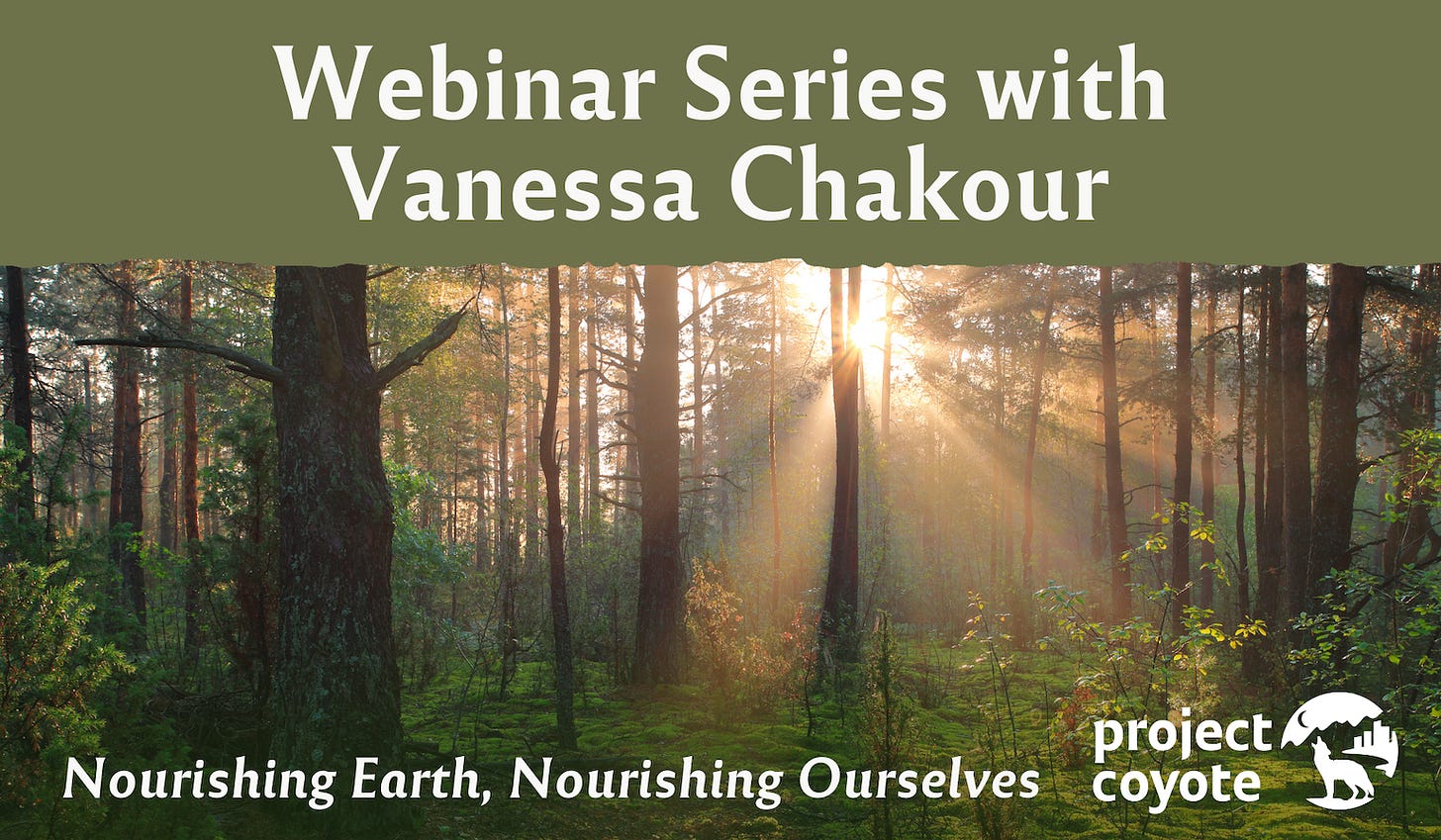 Webinar Series with Vanessa Chakour