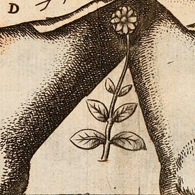 My favorite type of 'period sex'