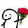 roses at 11:11