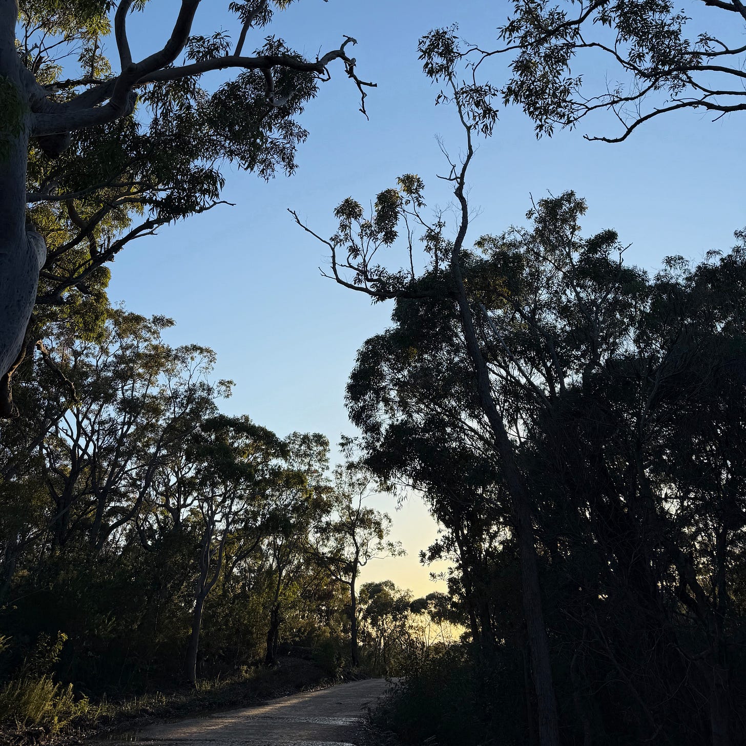 Grays Point Fire Trail