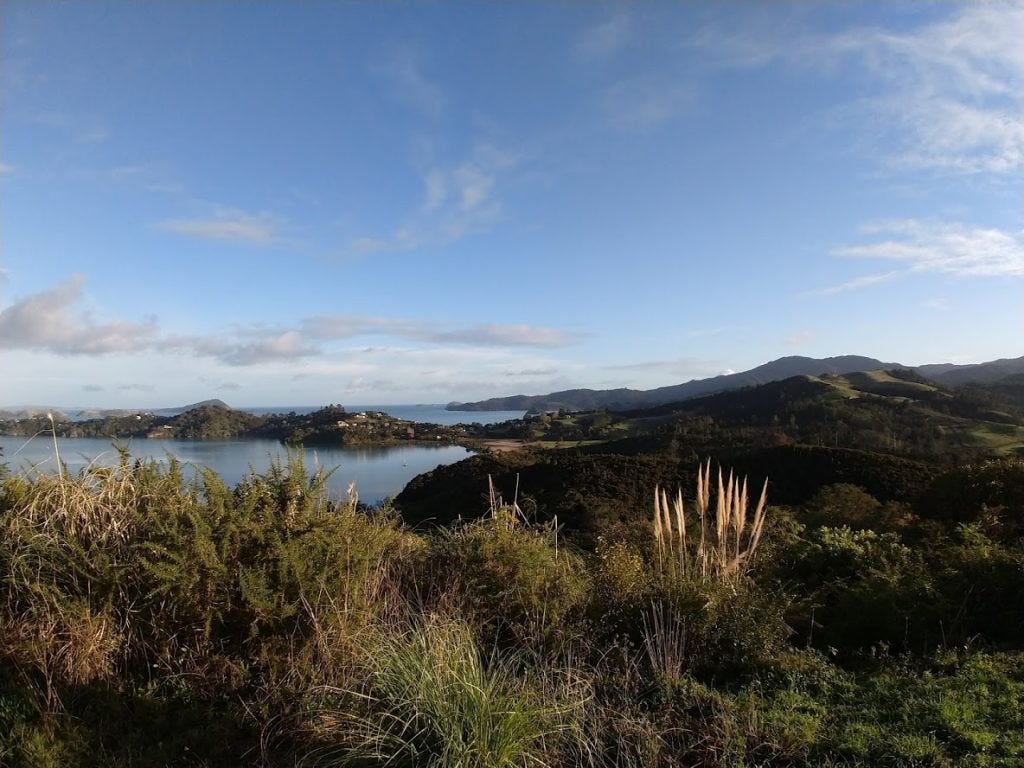 Kauri Block Pā site coastal view Kauri Block Pā site coastal view