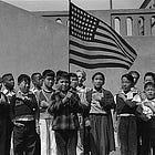 The Cults of Rules👨‍⚖️