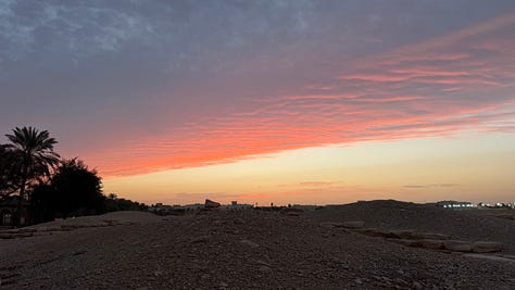 sunrise and palm trees