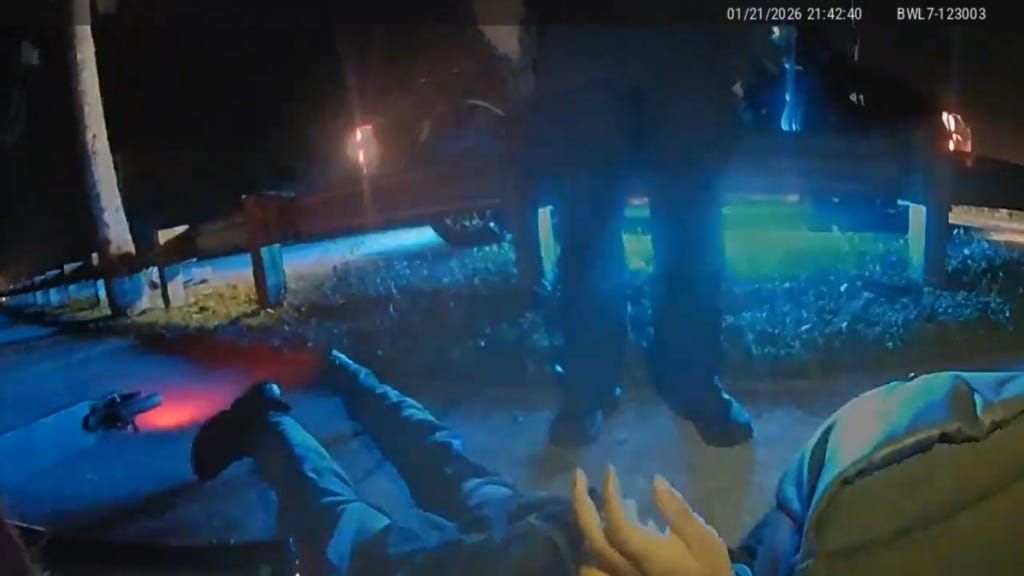 Video: Rough Arrest of Teen Who Died in Florida ICE Custody